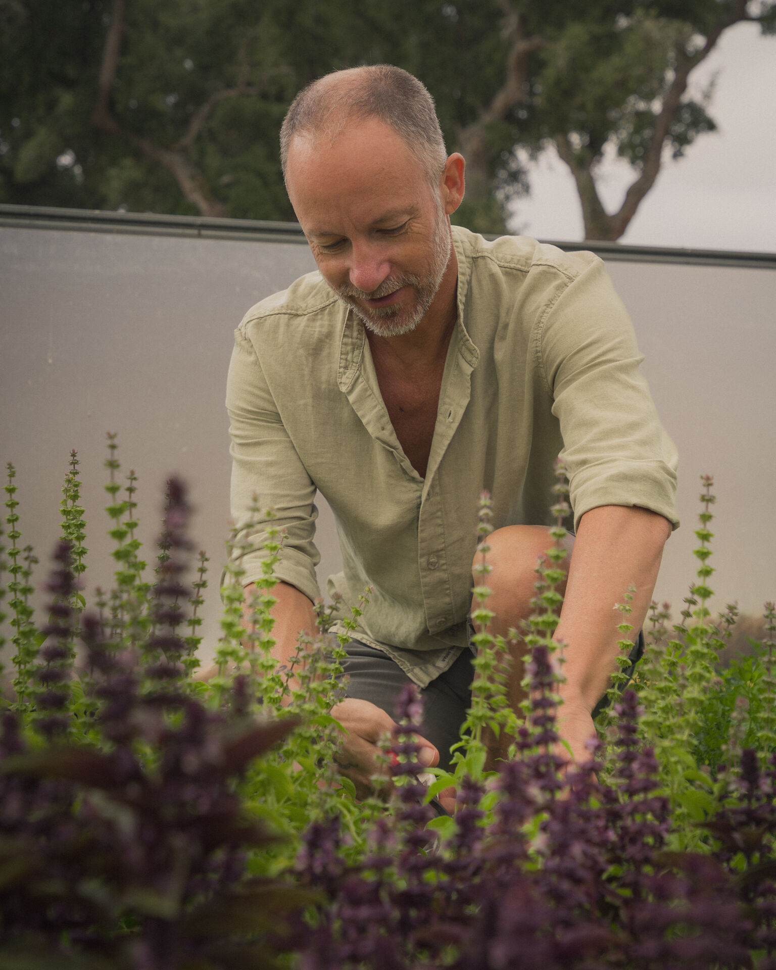 Tending young plants in the Ode greenhouse.