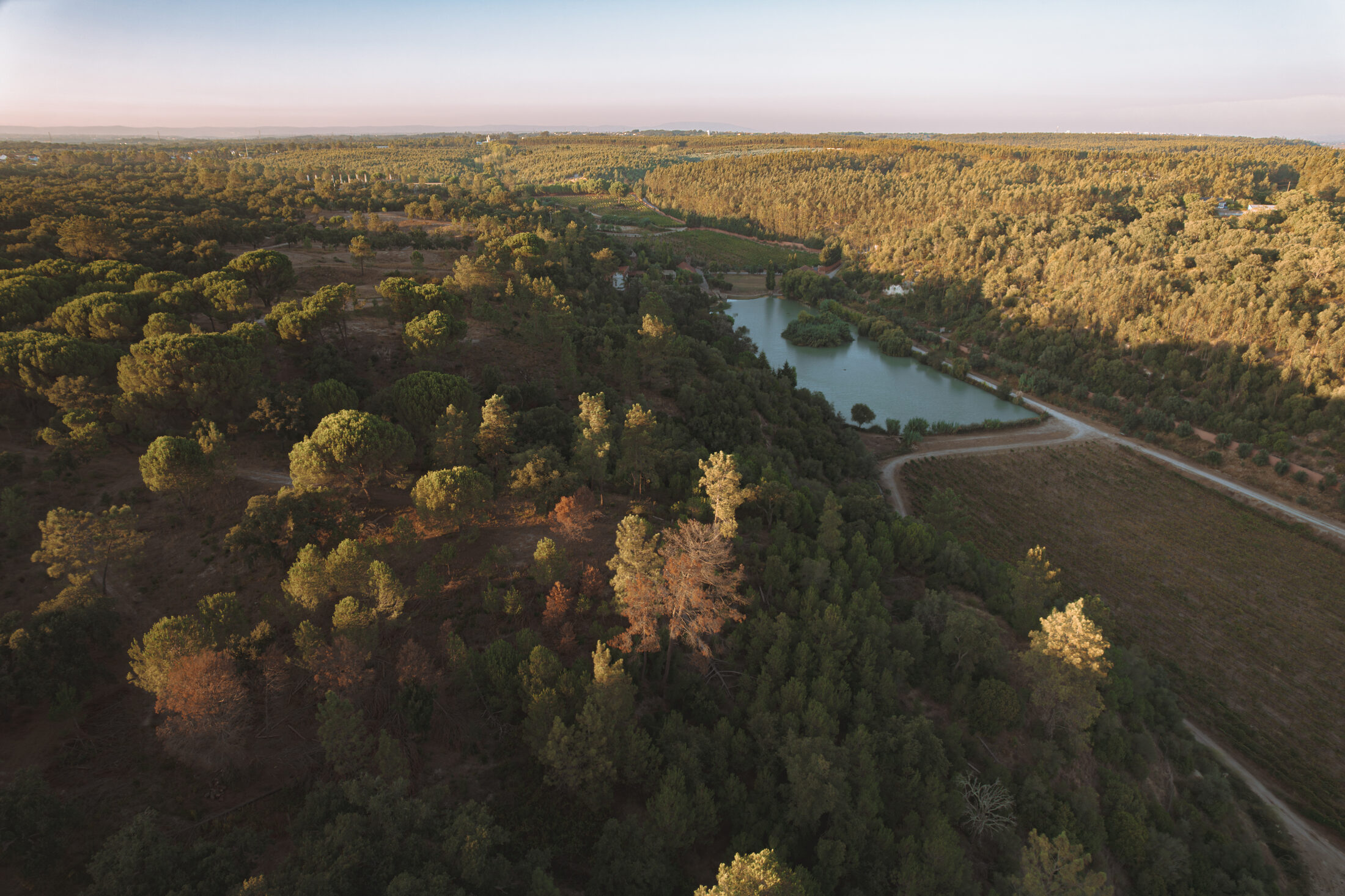 Aerial view of ODE Winery estate.