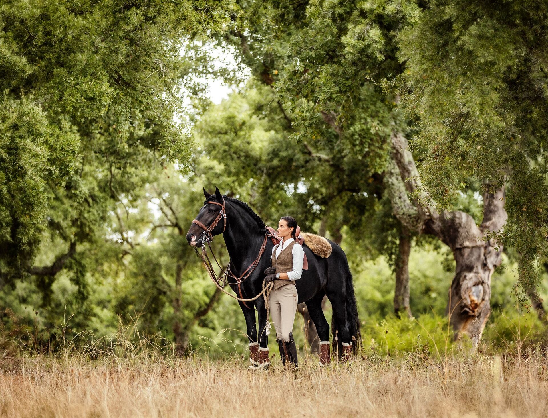 A horse beneath the cork oaks at AMAIA Valley.