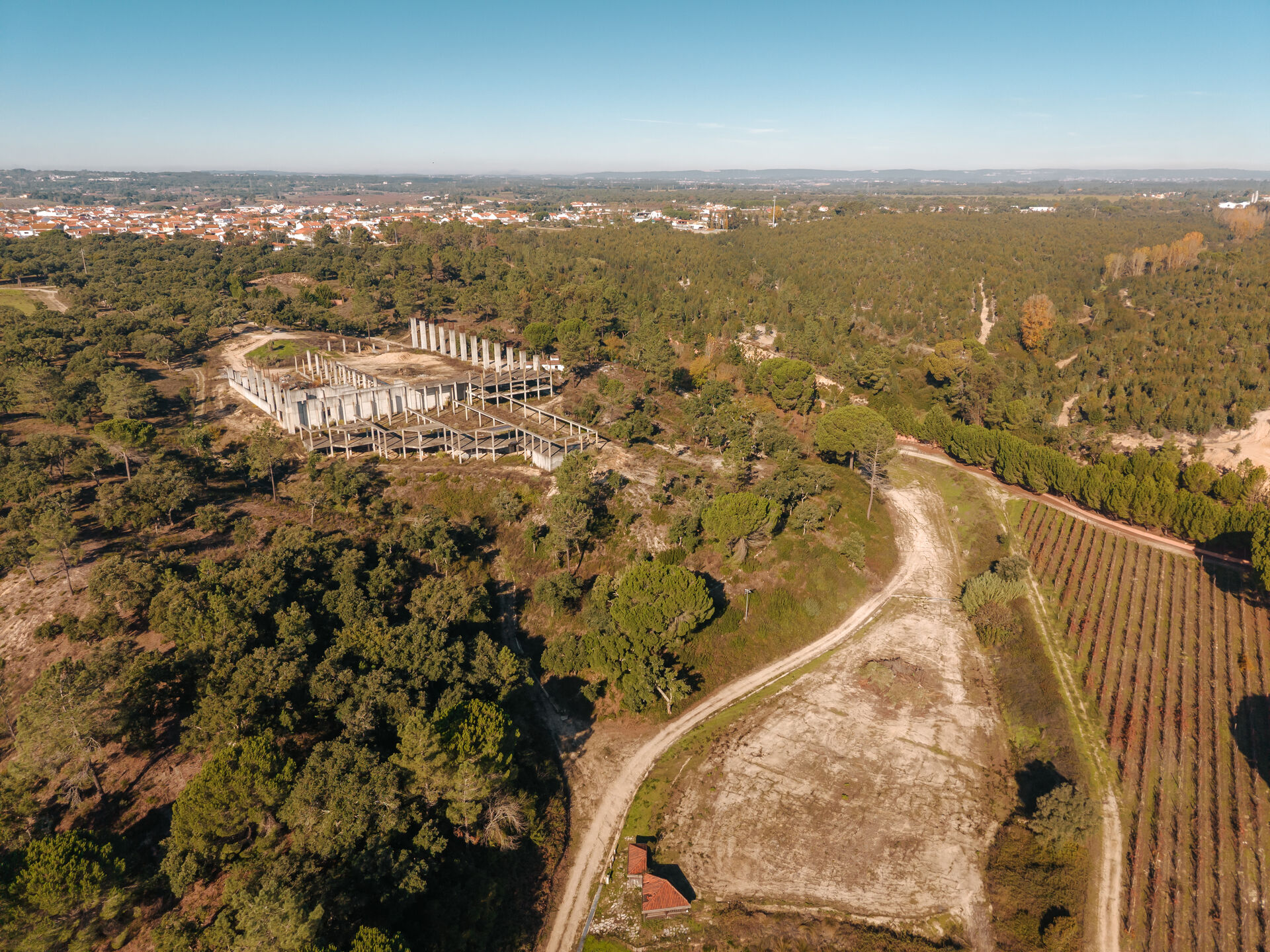 Aerial view of vineyard rows at Ode.
